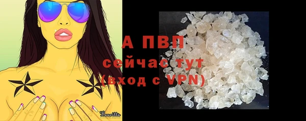 PSILOCYBIN Абаза