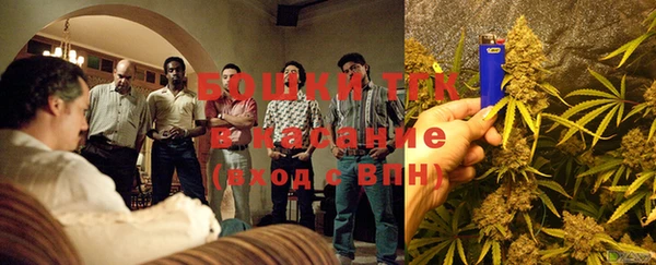 PSILOCYBIN Абаза