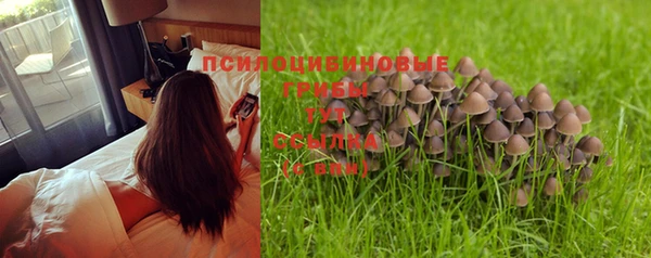 марки nbome Абдулино